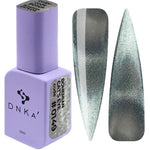 DNKa' Гель-лак Gel Polish Bohemian Cat Eye #0149 (Новый номер #0016), 12 мл