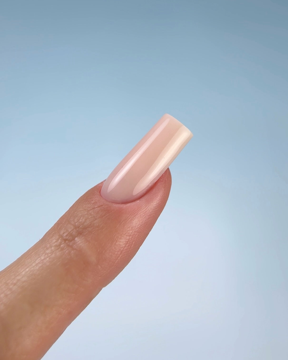Lunamoon Dual Nail Forms Skeleton Arched Square