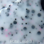 nailsoftheday potal base 31