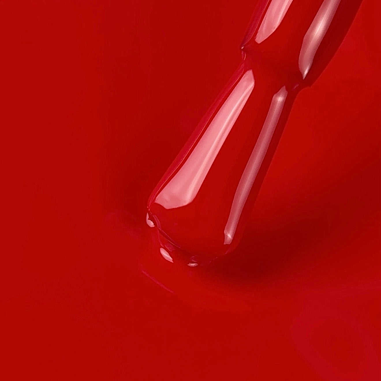 NAILSOFTHEDAY Color of the month March 2026 Wild